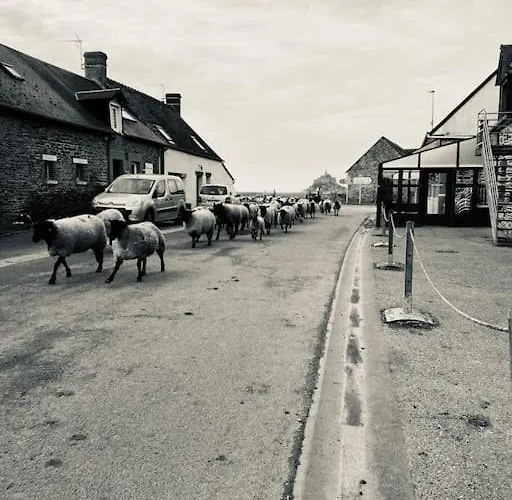 La Mouette De 4 Personnes Pontorson